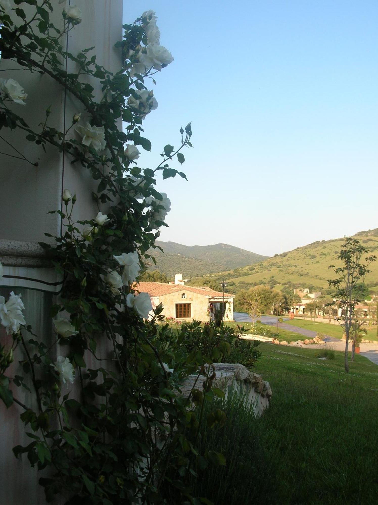 Tenuta Le Terre 1927 Guest House ซาน เตโอโดโร ภายนอก รูปภาพ